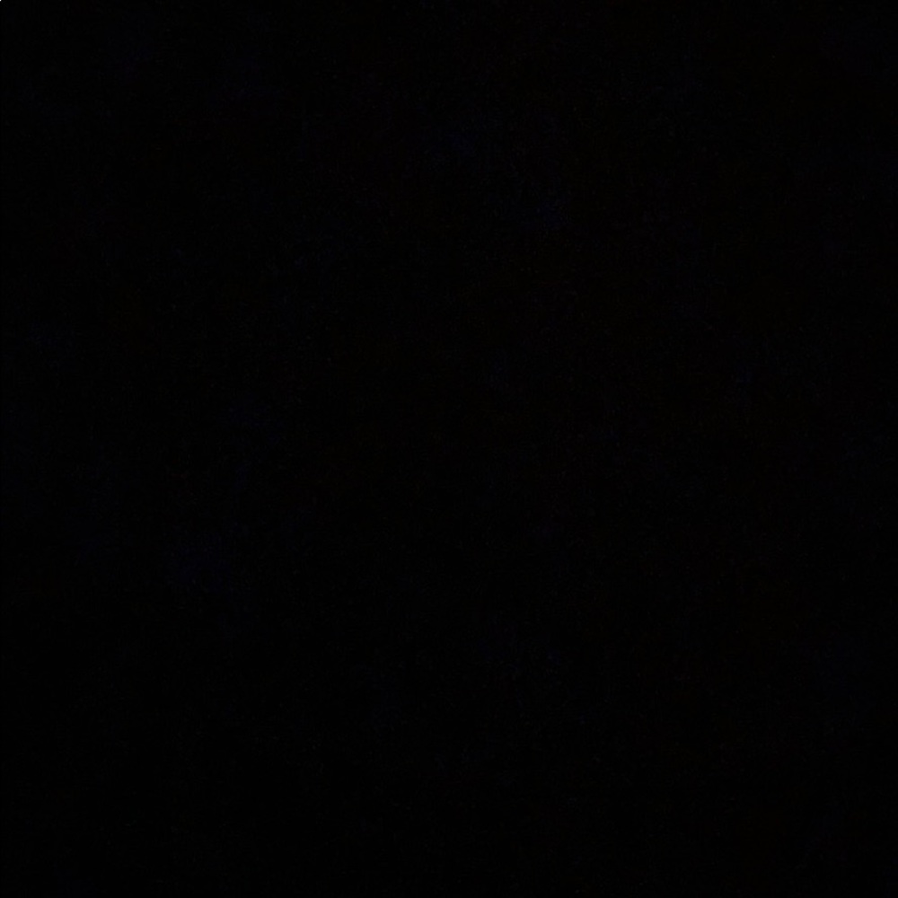 Meet your Posher, Gracie